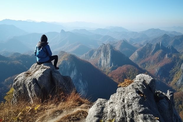 美术特长生可以报考哪些大学和专业