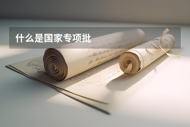 什么是国家专项批