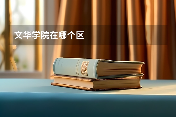 文华学院在哪个区