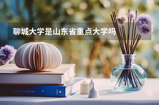 聊城大学是山东省重点大学吗