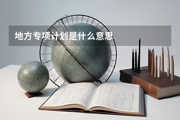 地方专项计划是什么意思