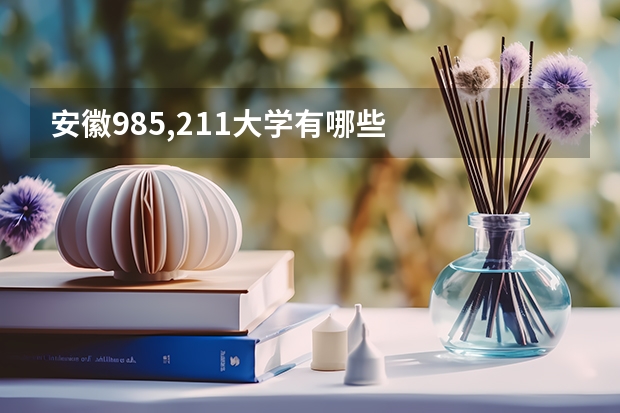 安徽985,211大学有哪些