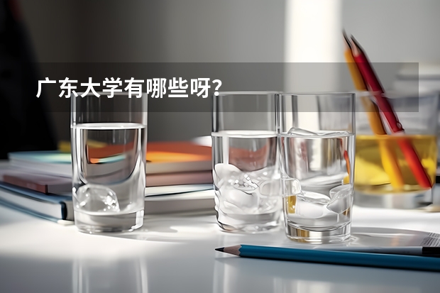 广东大学有哪些呀？