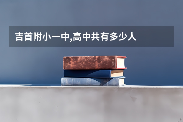 吉首附小一中,高中共有多少人