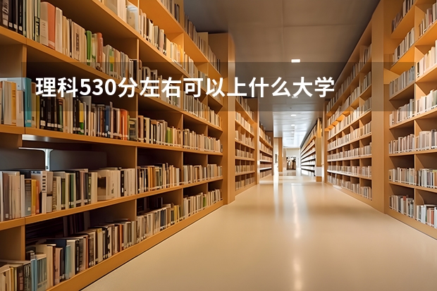 理科530分左右可以上什么大学