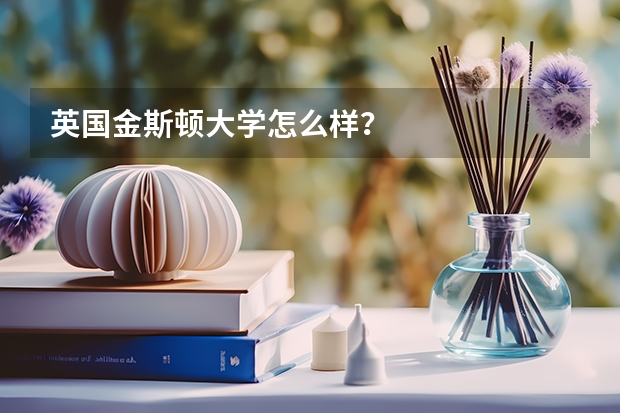 英国金斯顿大学怎么样？