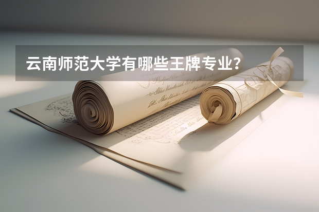 云南师范大学有哪些王牌专业？