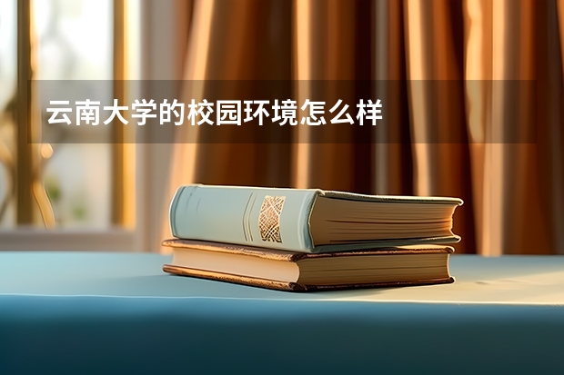 云南大学的校园环境怎么样