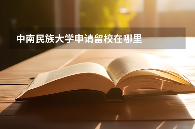 中南民族大学申请留校在哪里