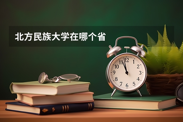 北方民族大学在哪个省