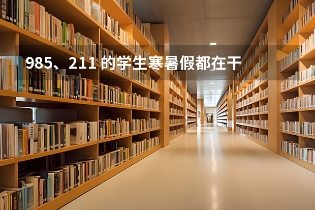 985、211 的学生寒暑假都在干什么？