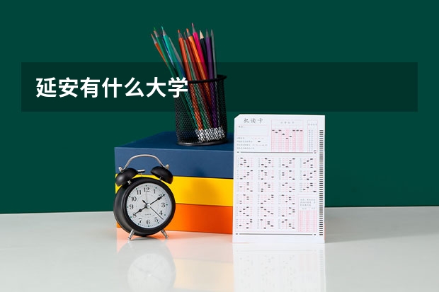 延安有什么大学