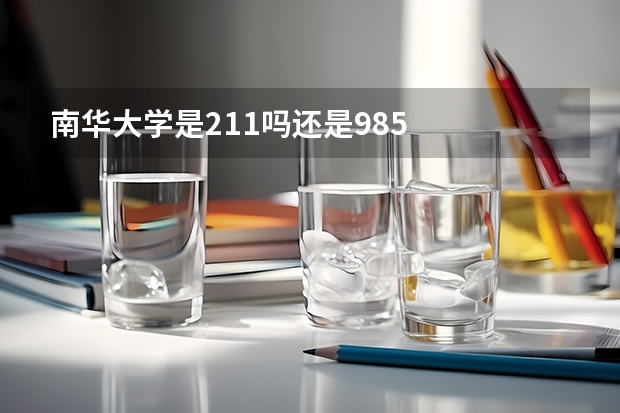 南华大学是211吗还是985