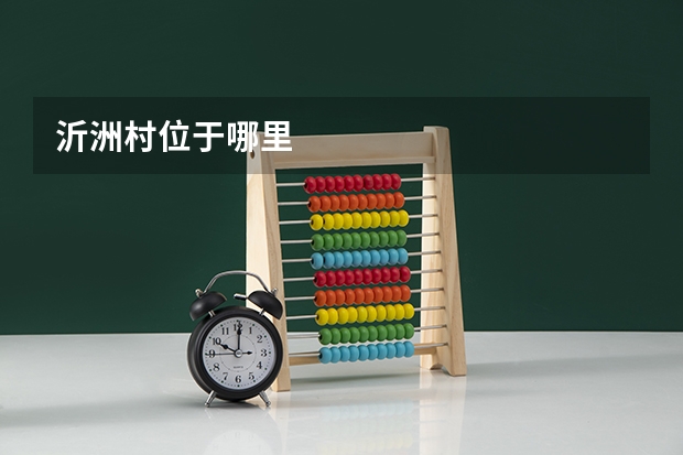 沂洲村位于哪里