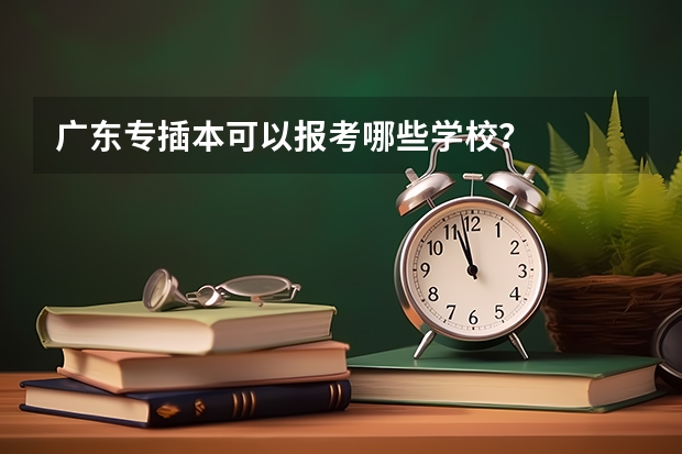 广东专插本可以报考哪些学校？