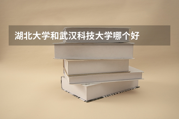 湖北大学和武汉科技大学哪个好