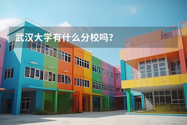武汉大学有什么分校吗？