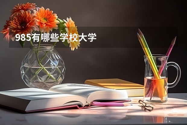 985有哪些学校大学
