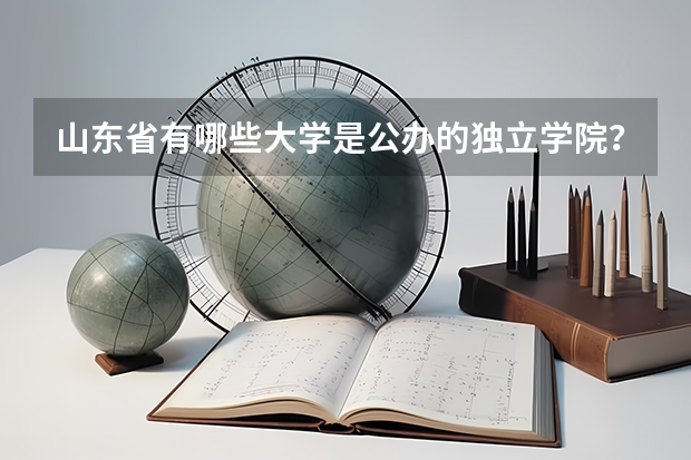 山东省有哪些大学是公办的独立学院？