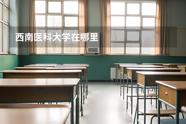 西南医科大学在哪里