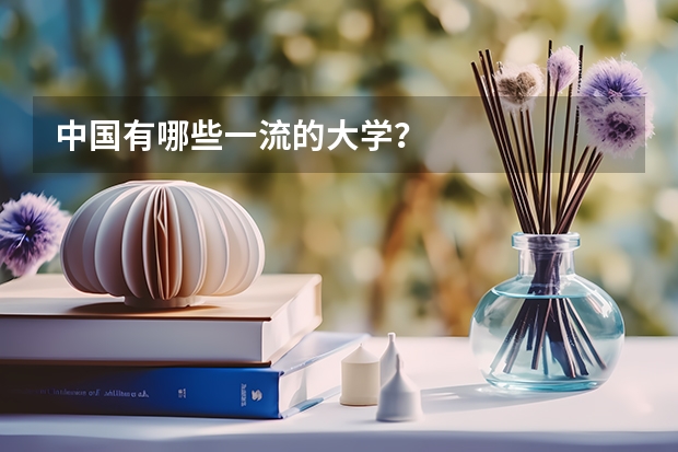 中国有哪些一流的大学？