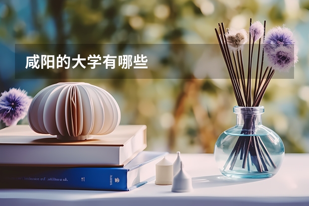 咸阳的大学有哪些