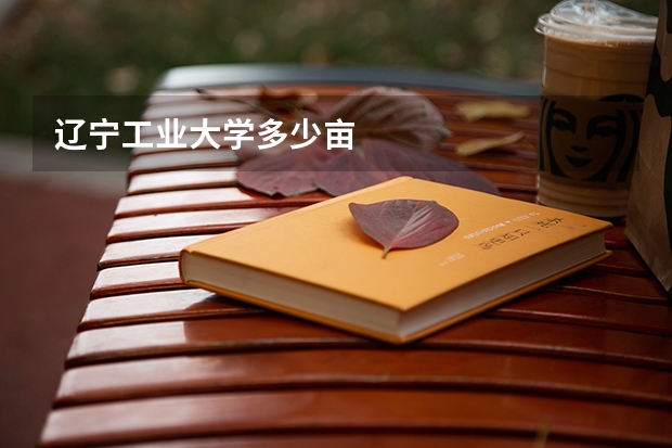 辽宁工业大学多少亩