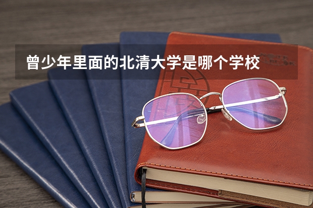 曾少年里面的北清大学是哪个学校