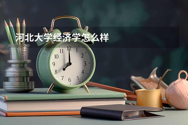 河北大学经济学怎么样
