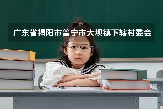 广东省揭阳市普宁市大坝镇下辖村委会有哪些？