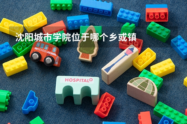 沈阳城市学院位于哪个乡或镇