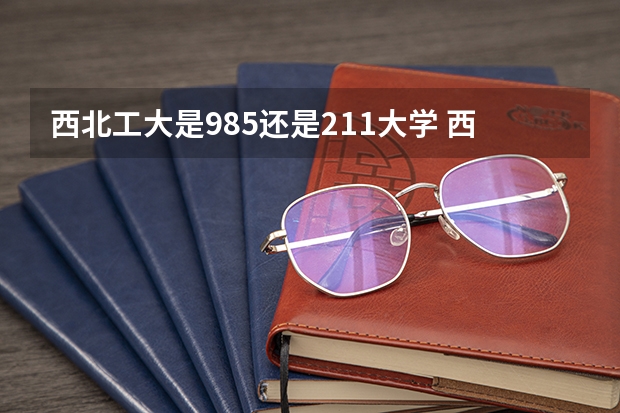 西北工大是985还是211大学 西北工业大学是985还是211?