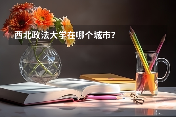 西北政法大学在哪个城市？
