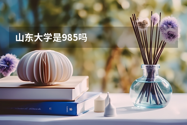 山东大学是985吗