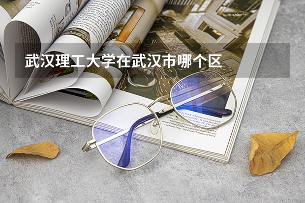 武汉理工大学在武汉市哪个区