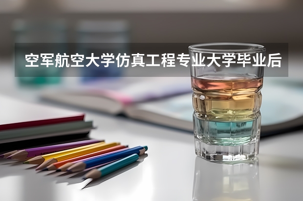 空军航空大学仿真工程专业大学毕业后能干什么？工资大学多少？