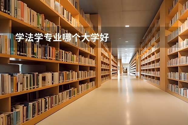 学法学专业哪个大学好