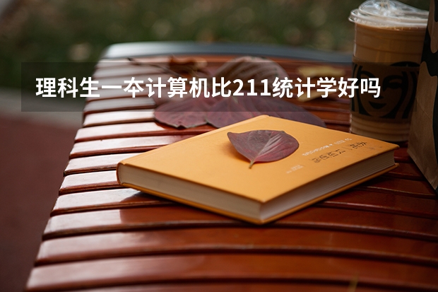 理科生一夲计算机比211统计学好吗
