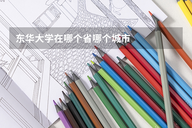 东华大学在哪个省哪个城市