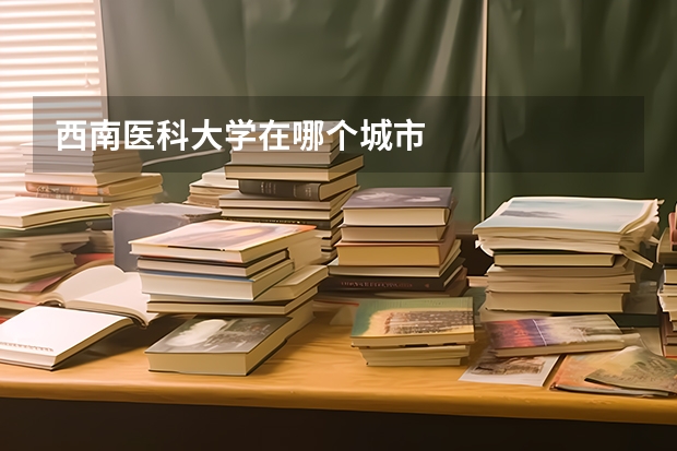 西南医科大学在哪个城市