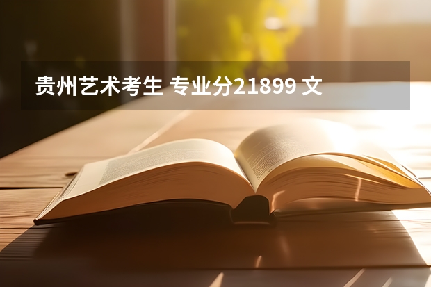 贵州艺术考生 专业分218.99 文化分388可以报考省外哪些学校，平行志愿？