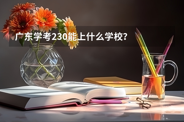 广东学考230能上什么学校？