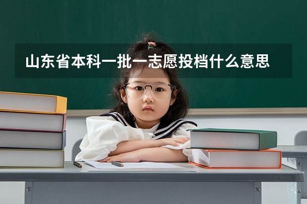 山东省本科一批一志愿投档什么意思