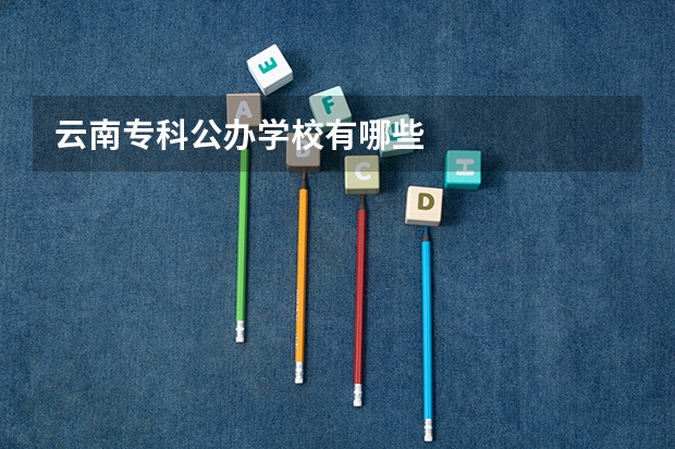 云南专科公办学校有哪些