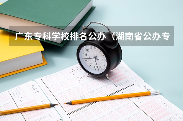 广东专科学校排名公办（湖南省公办专科院校排名榜）