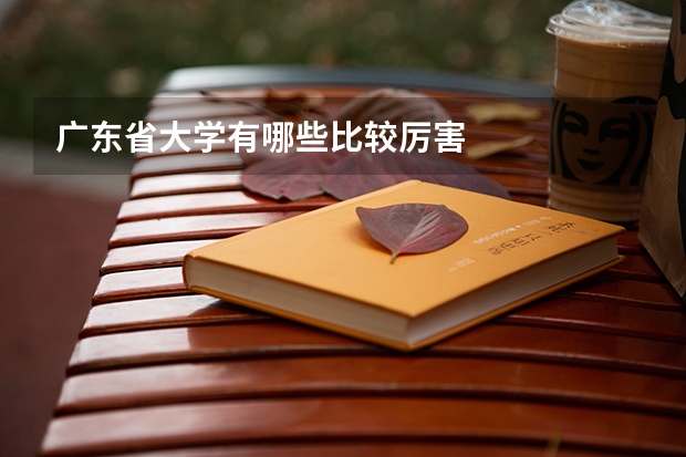 广东省大学有哪些比较厉害