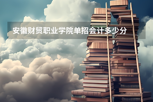 安徽财贸职业学院单招会计多少分