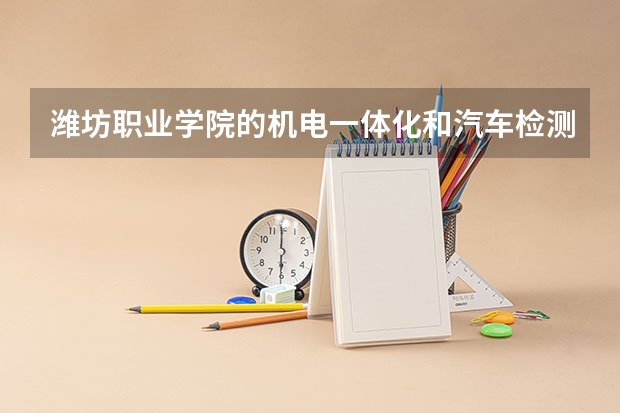 潍坊职业学院的机电一体化和汽车检测和维修哪个更好呀？？
