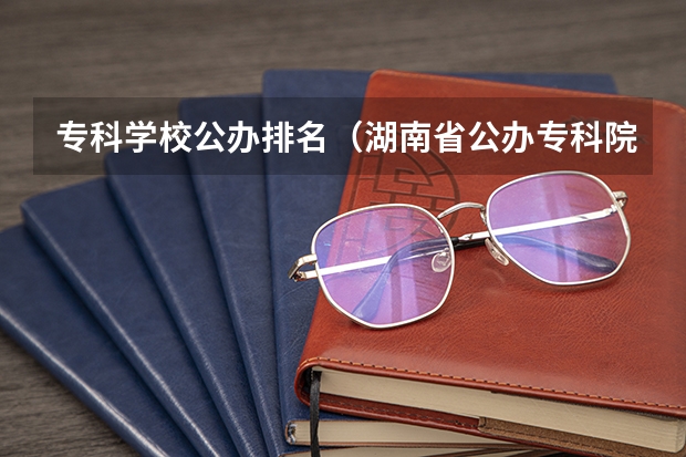 专科学校公办排名（湖南省公办专科院校排名榜）