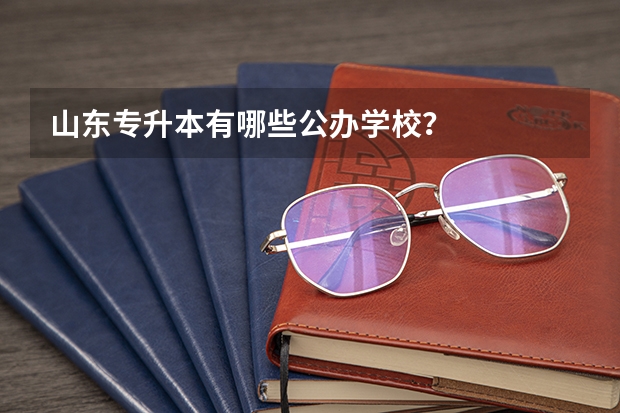 山东专升本有哪些公办学校?
